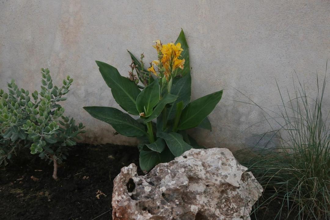 Photo of Others in Livadi