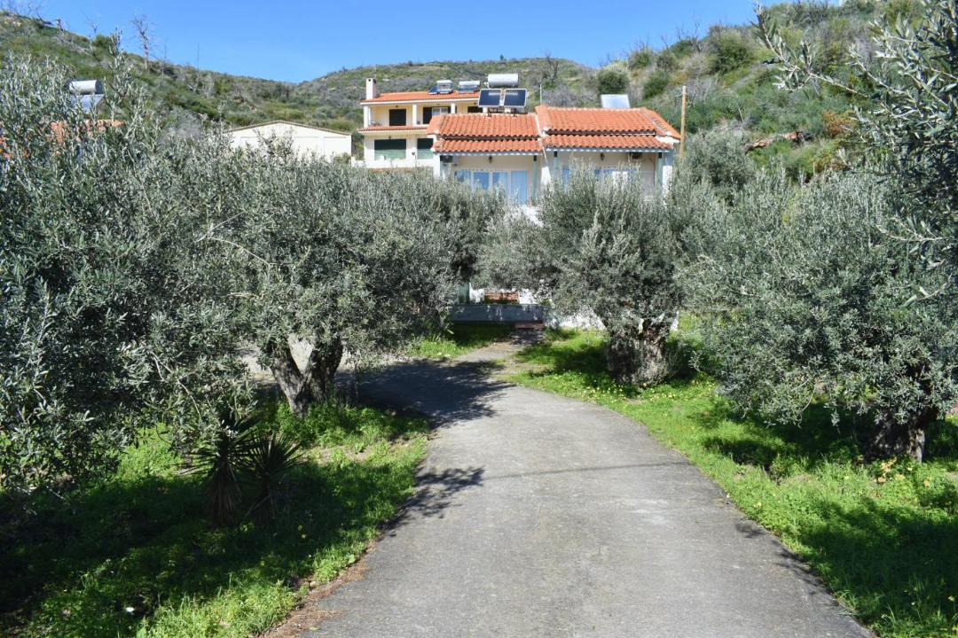 Photo of Others in Agios Mamas
