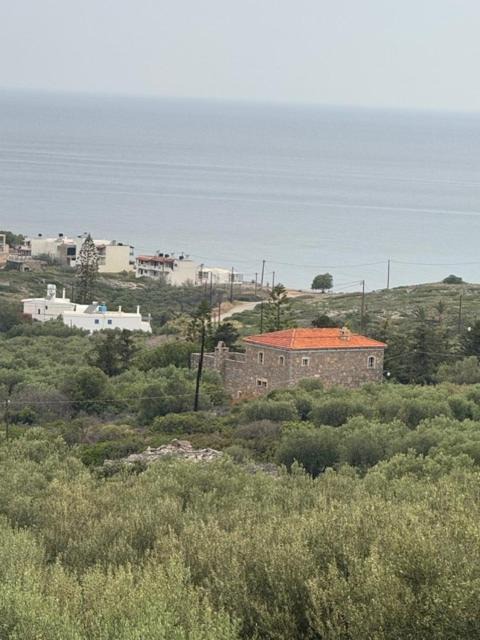 Photo of Others in Milatos
