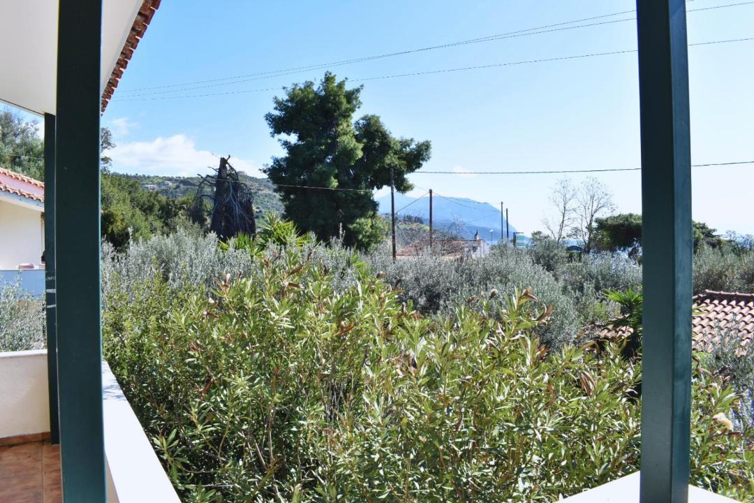 Photo of Others in Agios Mamas