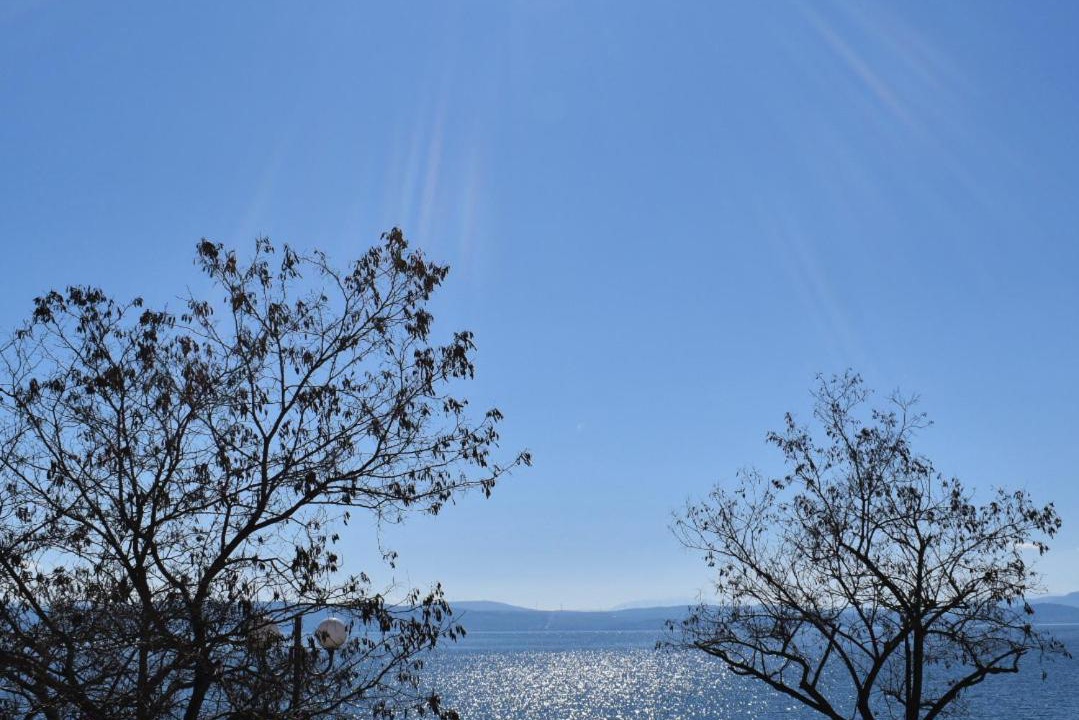 Photo of Others in Agios Mamas