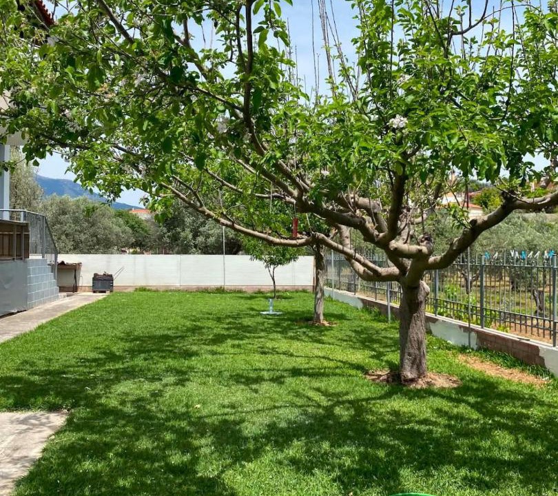 Photo of Outdoor in Amarinthos