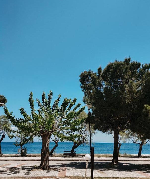 Photo of Others in Paralia Porovitsis
