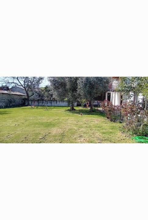 Photo of Others in Trikala