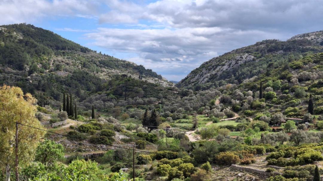 Photo of Others in Agios Georgios Sykousis