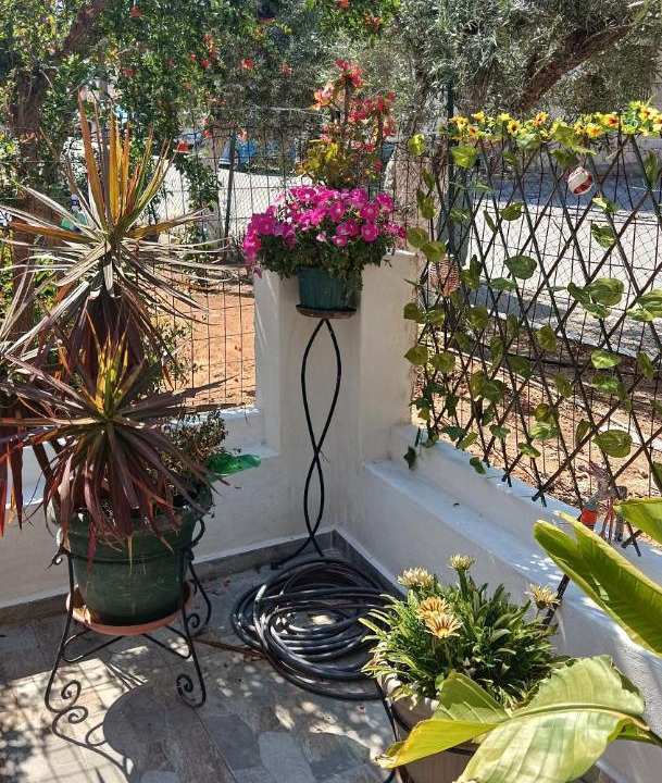 Photo of Patio Balcony in Markopoulon