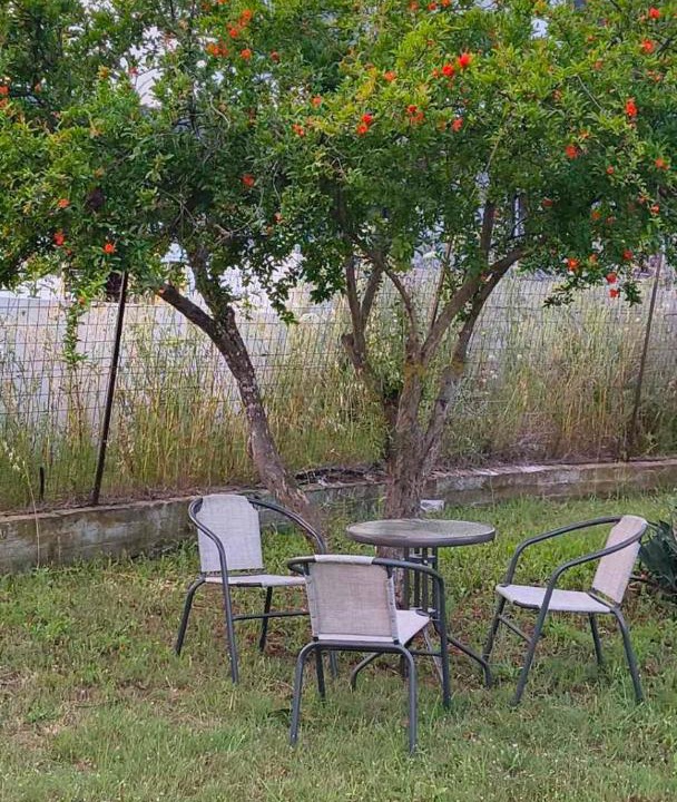 Photo of Others in Paralia Dionysiou