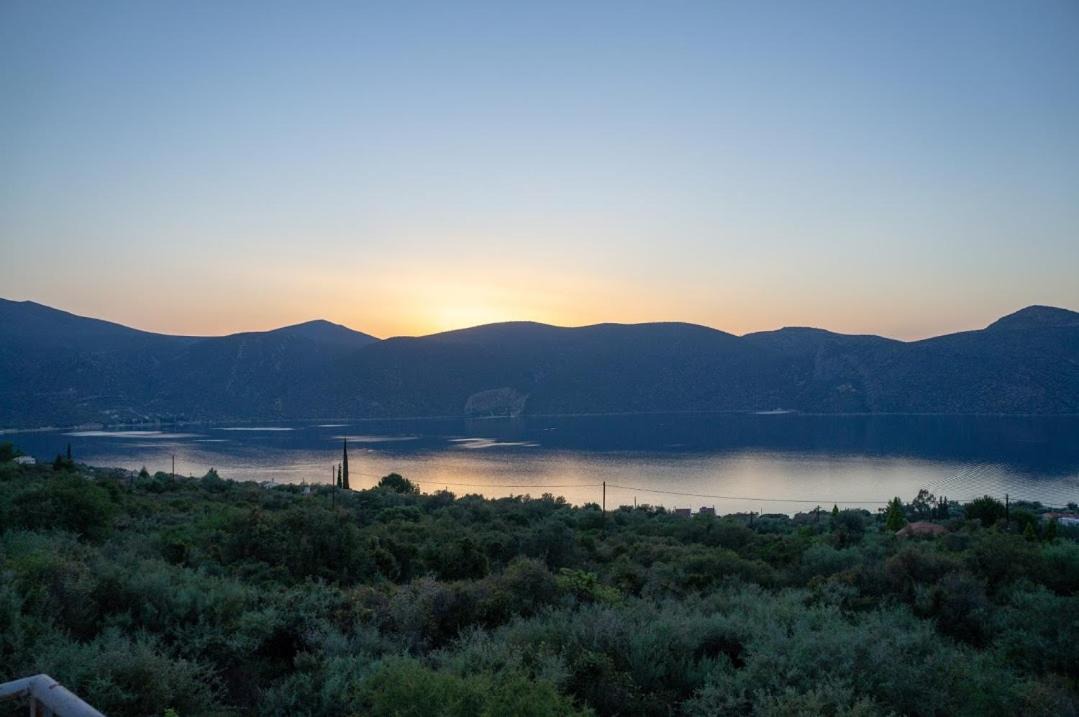 Photo of Others in Skroponeria