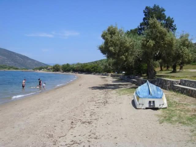 Photo of Others in Skroponeria