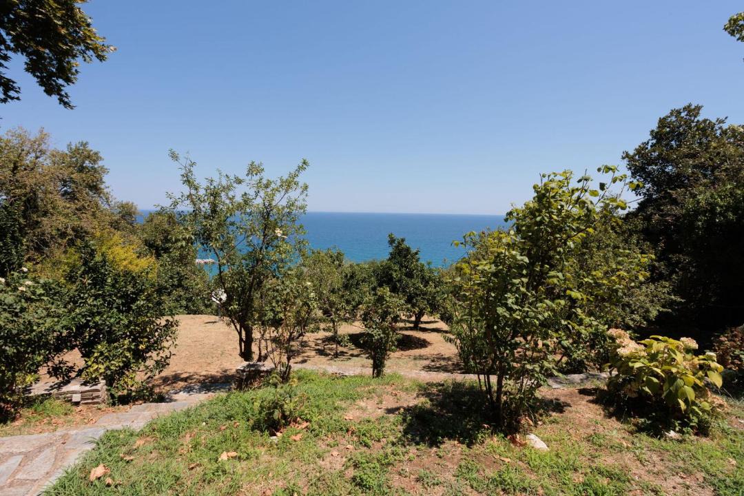 Photo of Others in Agios Ioannis