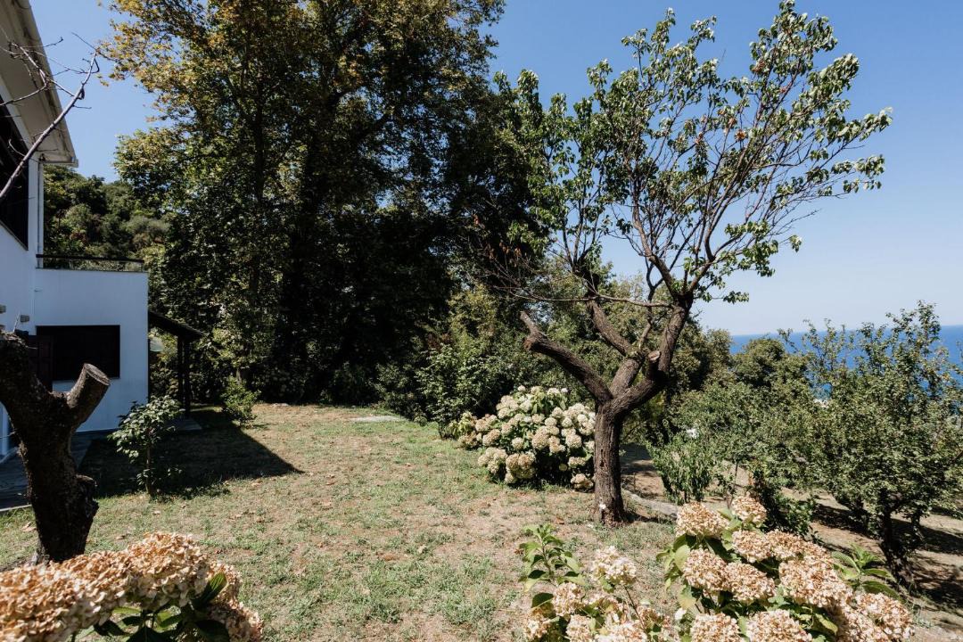 Photo of Others in Agios Ioannis