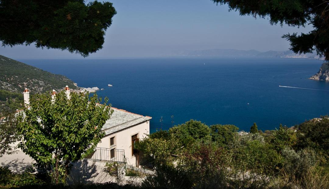 Photo of Others in Skopelos Town