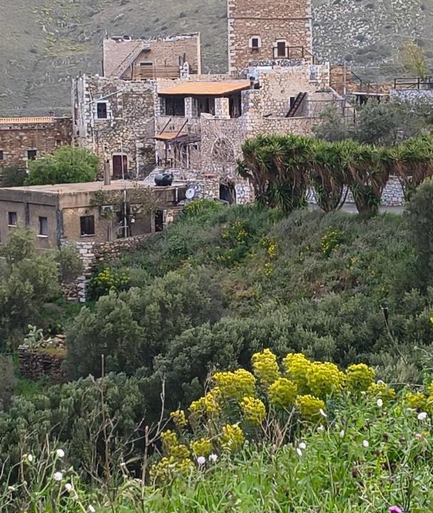 Photo of Others in Vatheia