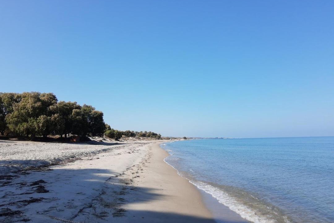 Photo of Others in Marmari