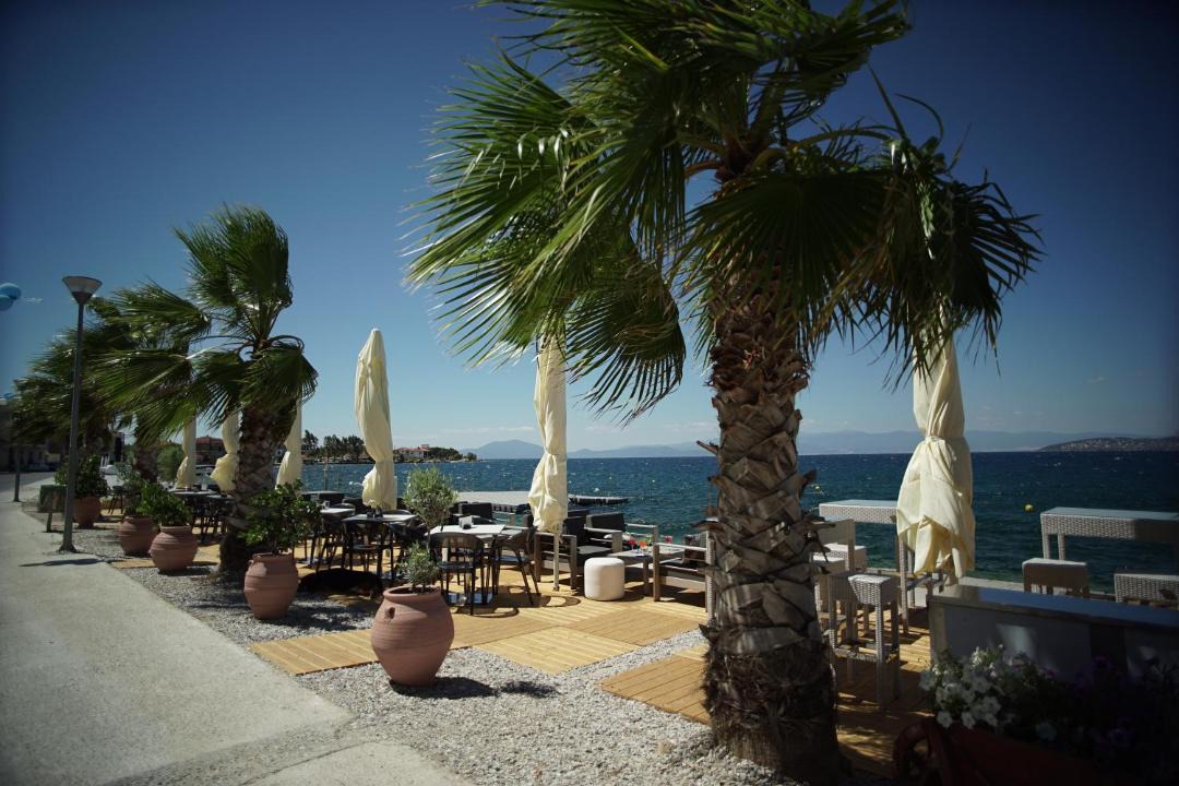 Photo of Others in Agria