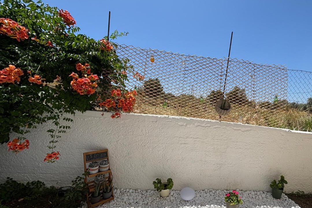 Photo of Others in Archangelos