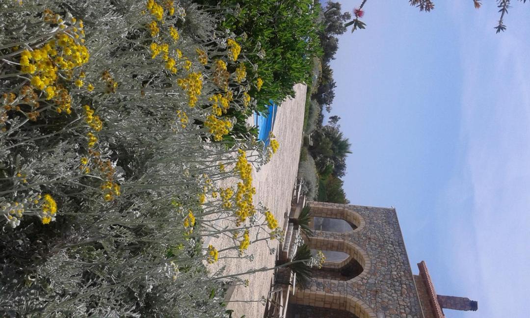 Photo of Others in Agios Vasileios