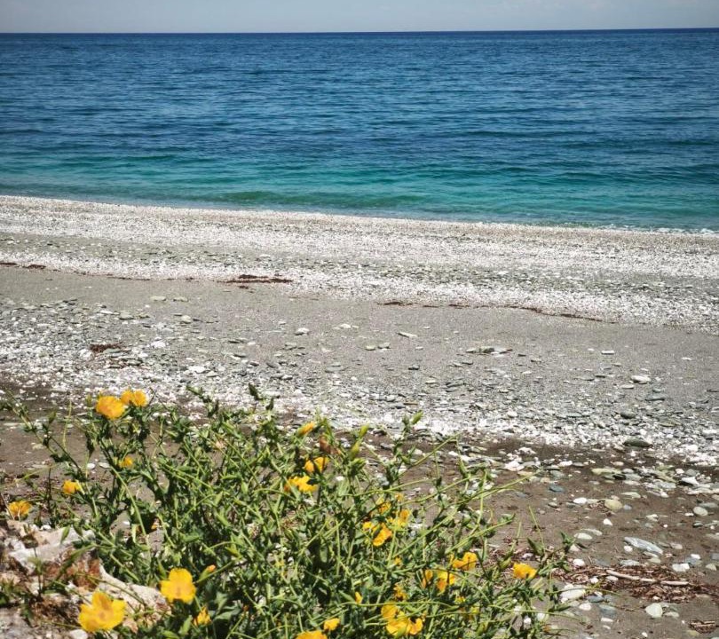 Photo of Others in Agia