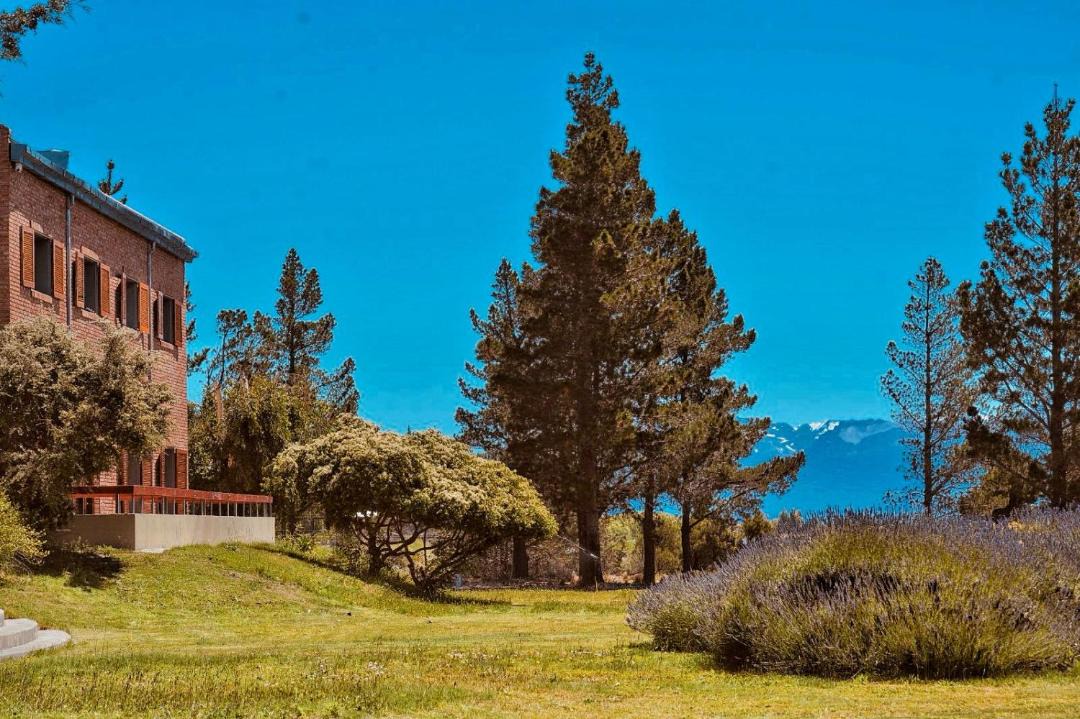 Photo of Others in Los Antiguos