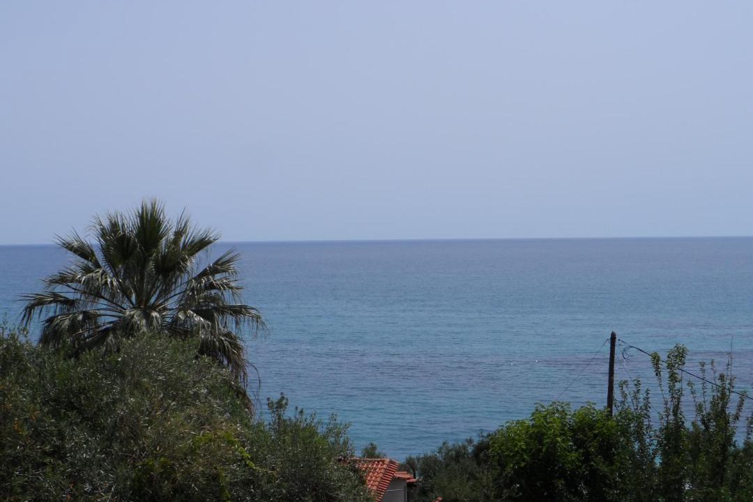 Photo of Others in Lygia