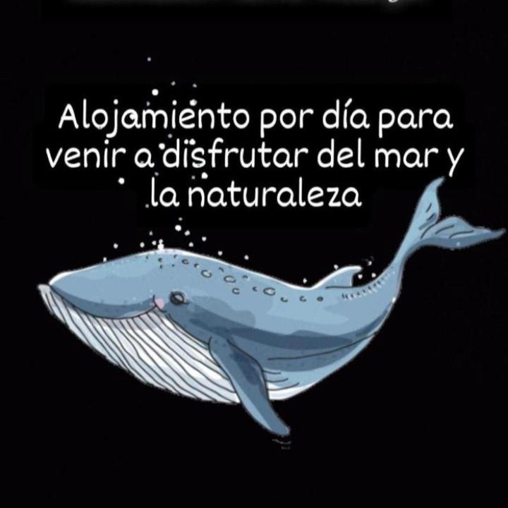 Photo of Others in Puerto Madryn