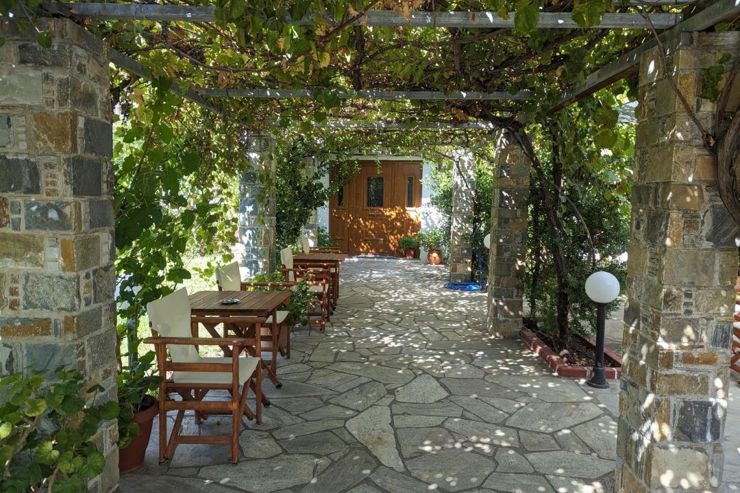 Photo of Others in Skopelos Town