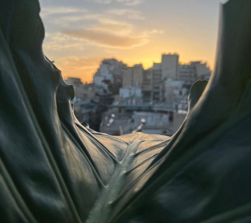Photo of Others in Athens