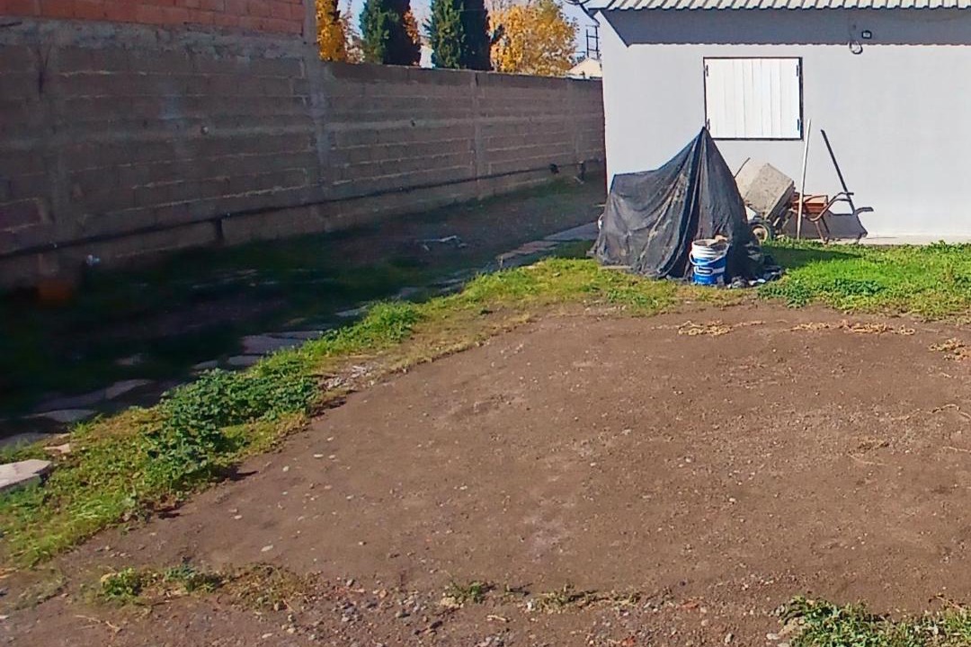 Photo of Others in Trelew