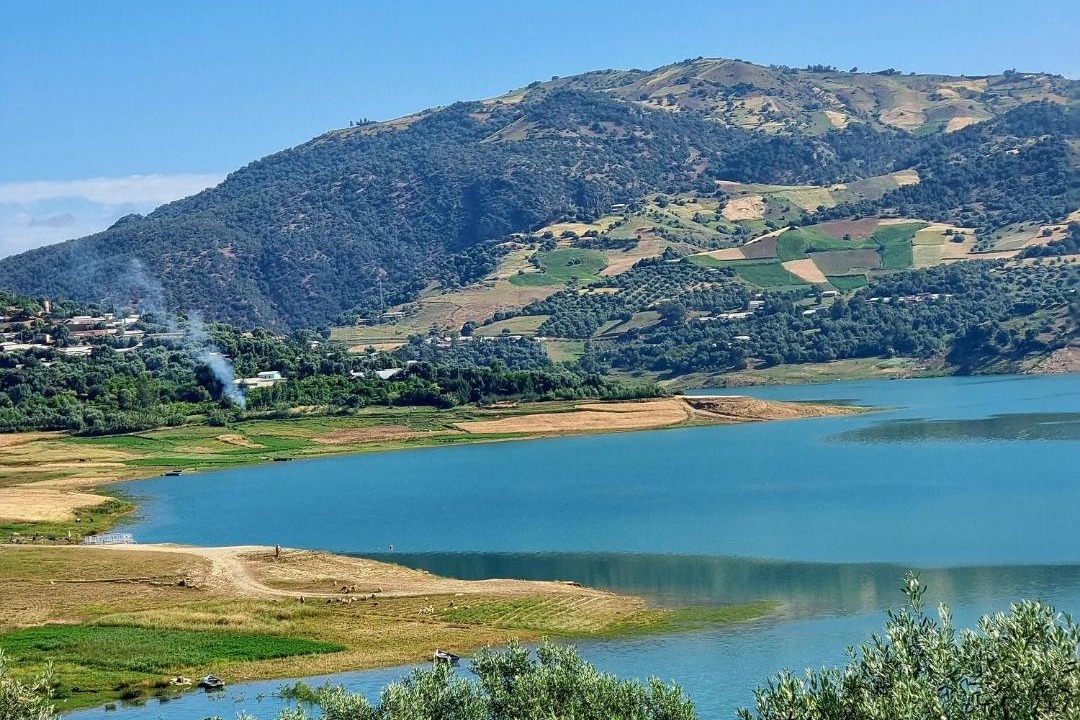Photo of Others in Zghira