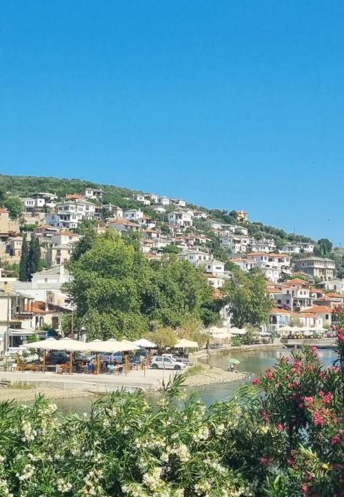 Photo of Others in Afissos