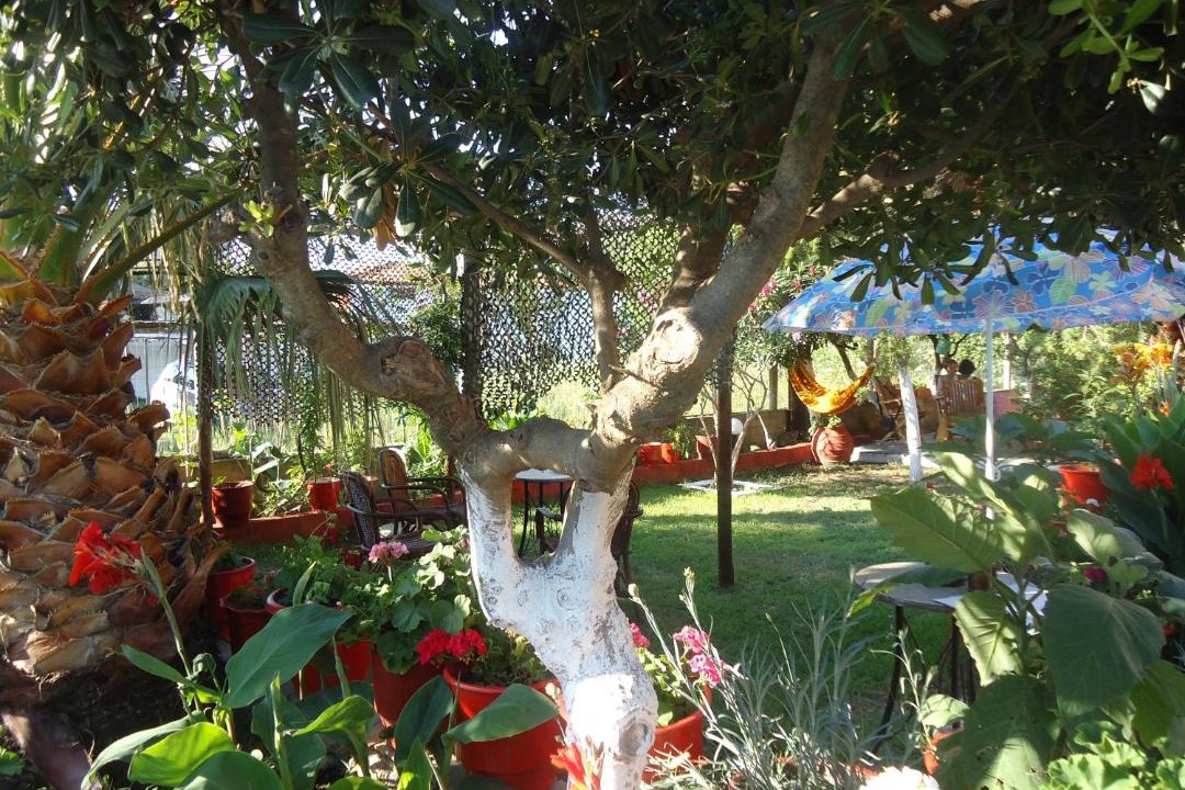 Photo of Others in Toroni
