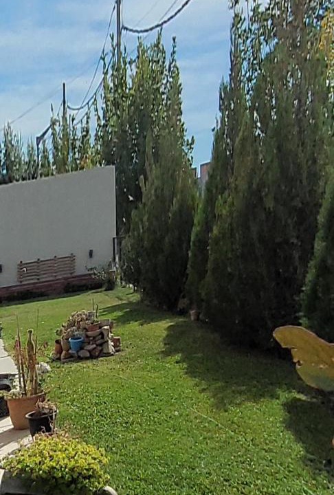 Photo of Others in Trelew