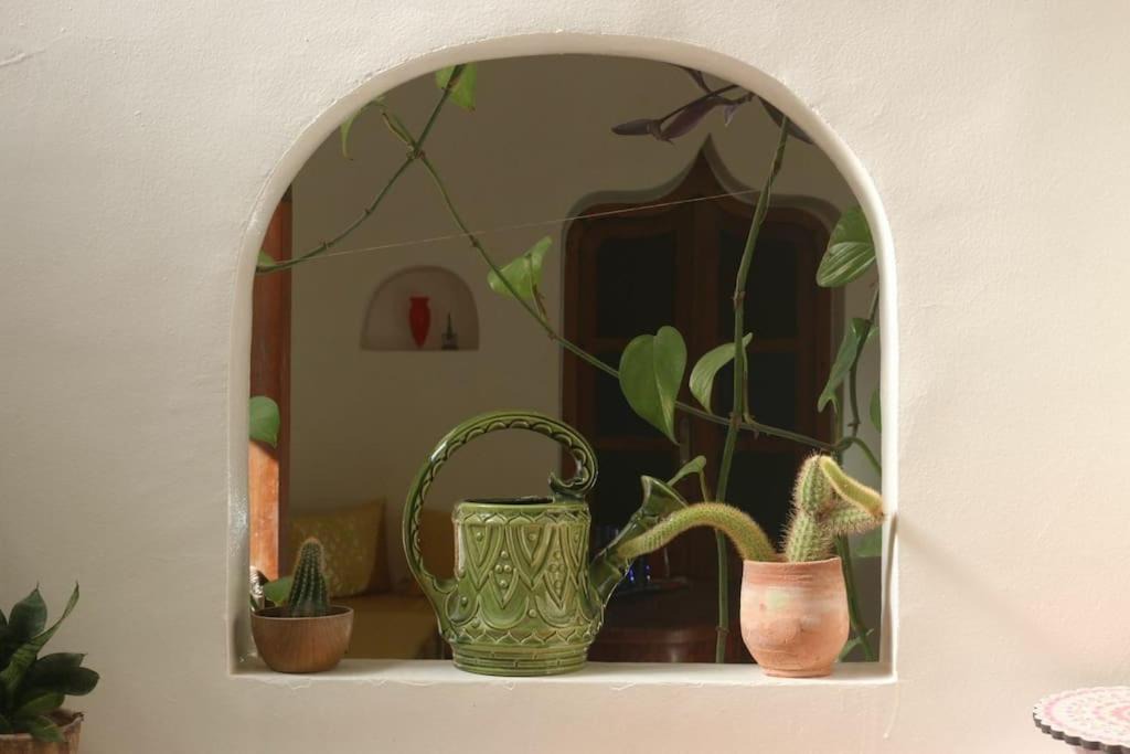 Photo of Others in Kasbah