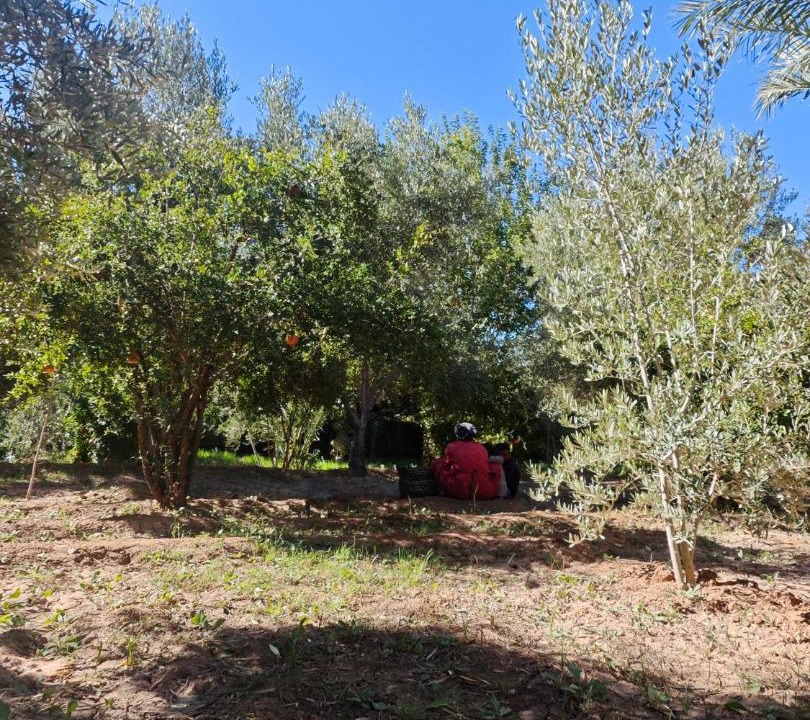 Photo of Outdoor in Skoura