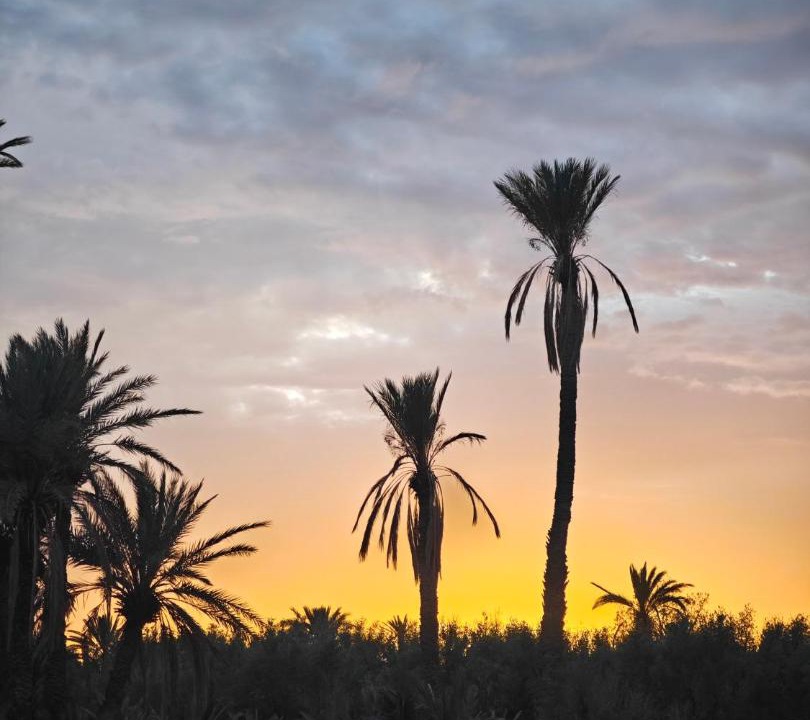 Photo of Others in Skoura