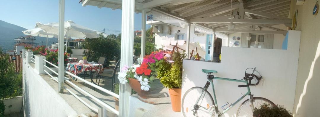 Photo of Others in Skopelos Town