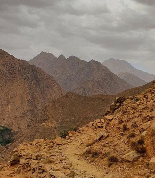 Photo of Others in Tahanaout