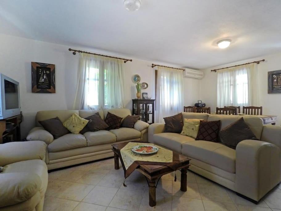 Photo of Livingroom in Stafylos