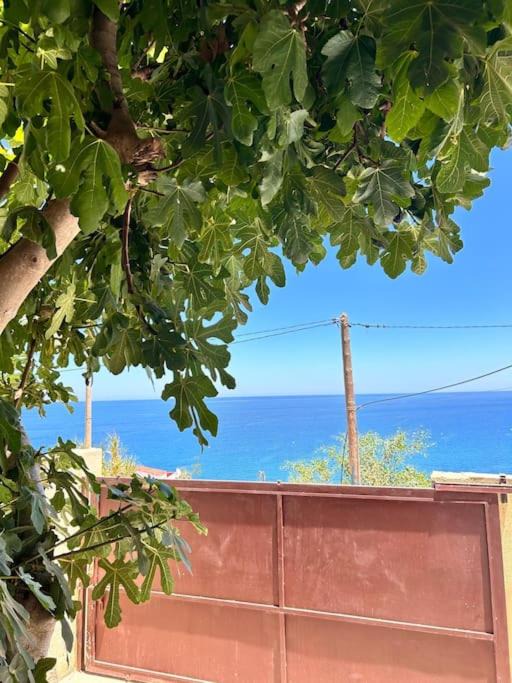 Photo of Outdoor in Zaouiat Sidi Kacem