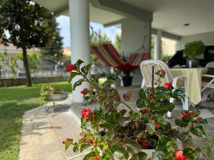 Photo of Patio Balcony in Trikala