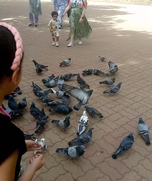Photo of Others in Ifrane