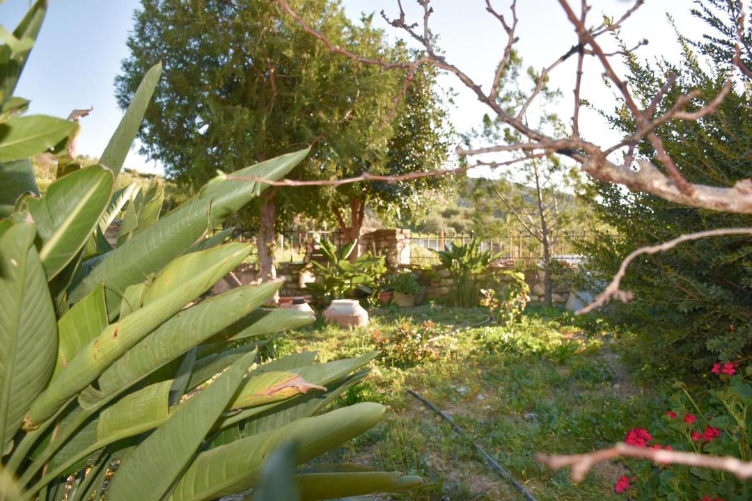 Photo of Others in Zaros