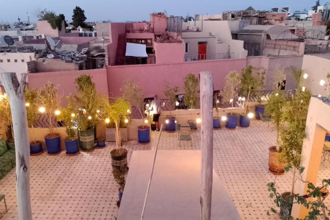 Photo of Others in Majorelle