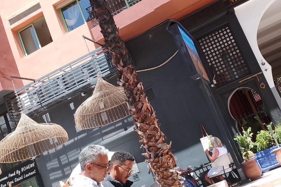 Photo of Others in Majorelle
