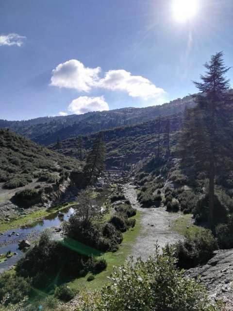 Photo of Others in Ketama