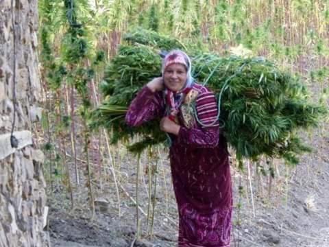 Photo of Others in Ketama