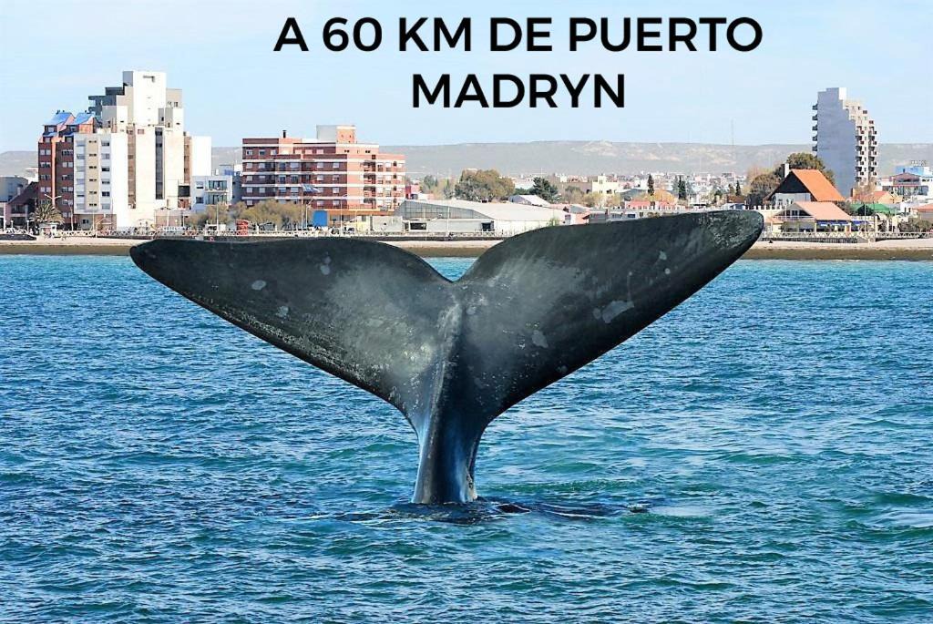 Photo of Others in Trelew