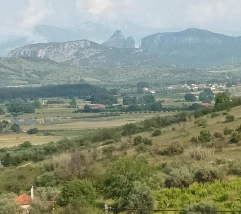 Photo of Others in Trikala
