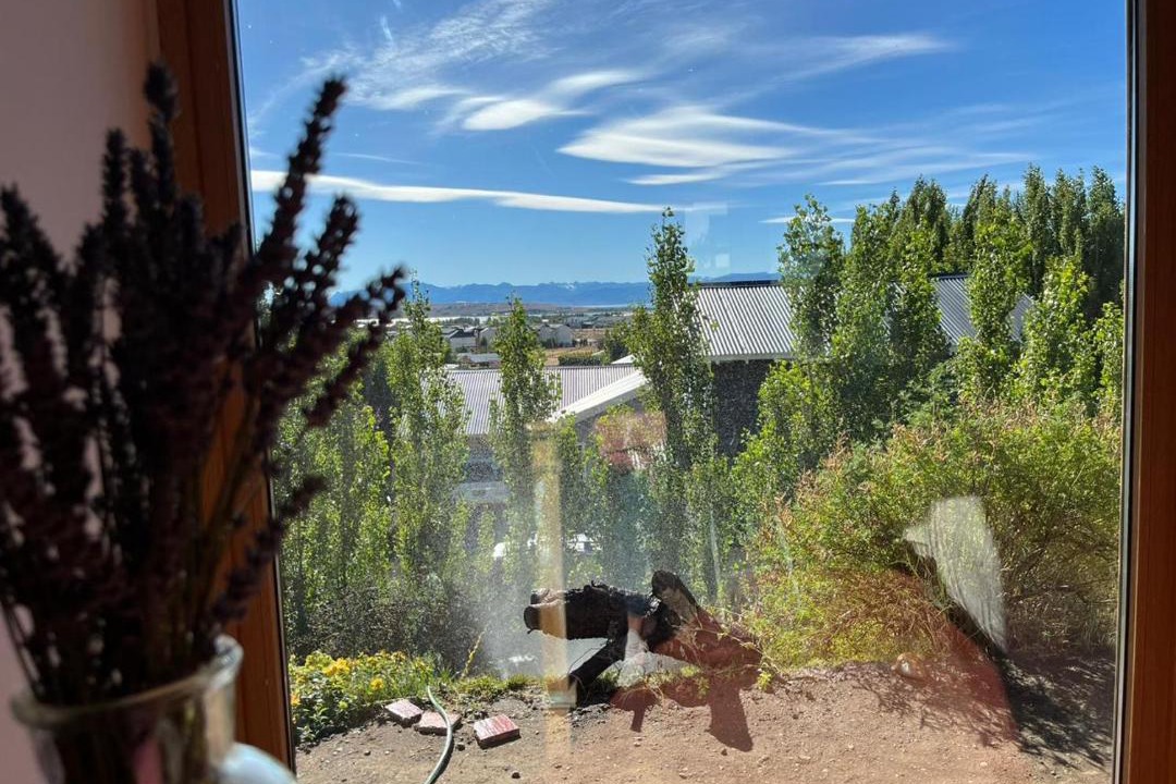 Photo of Others in Macrozona Meseta Cerro Calafate