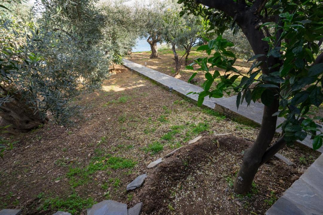 Photo of Others in Pagoneri